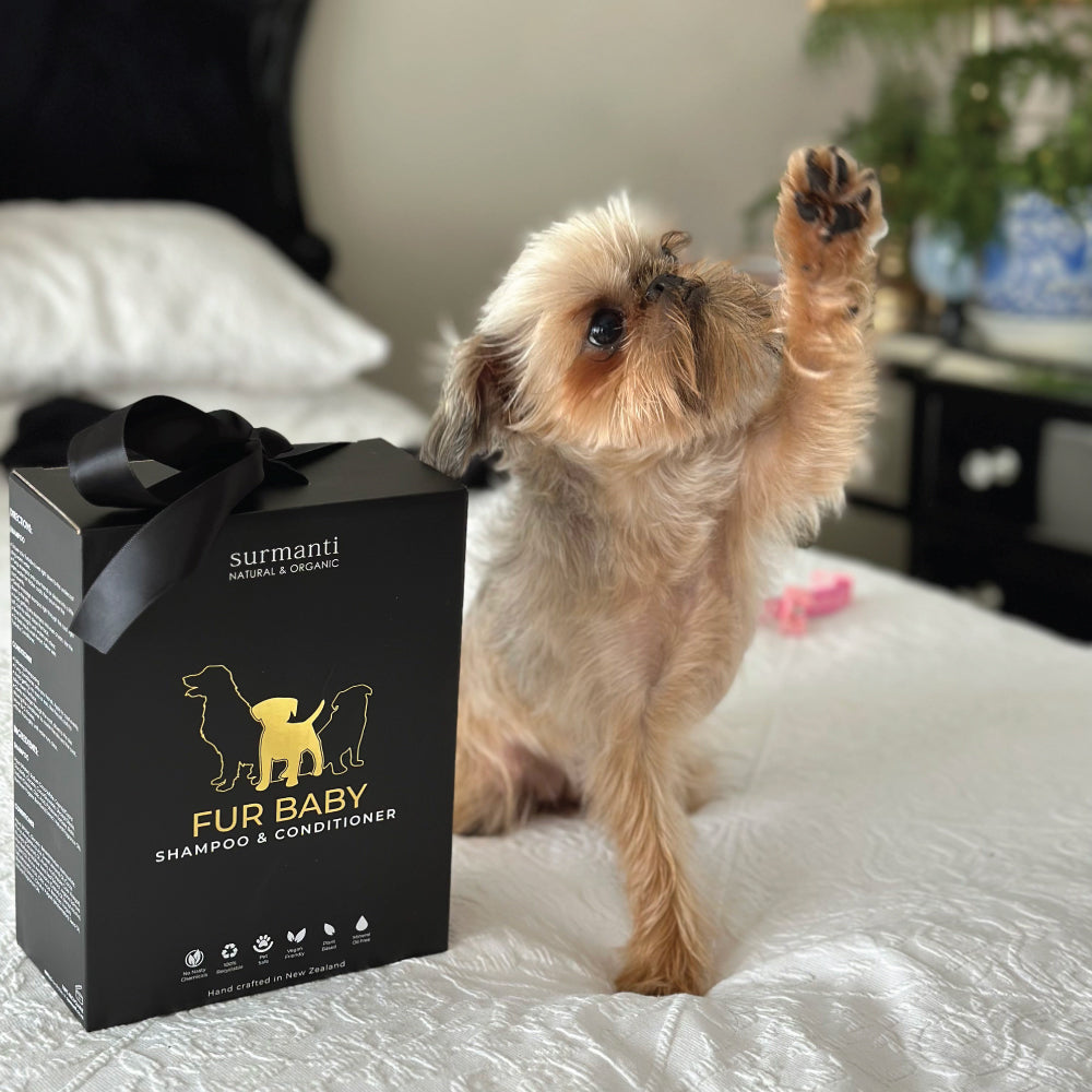 From Muddy to Magnificent: The Top Dog Shampoo And Conditioner For A Clean, Nourished Coat.