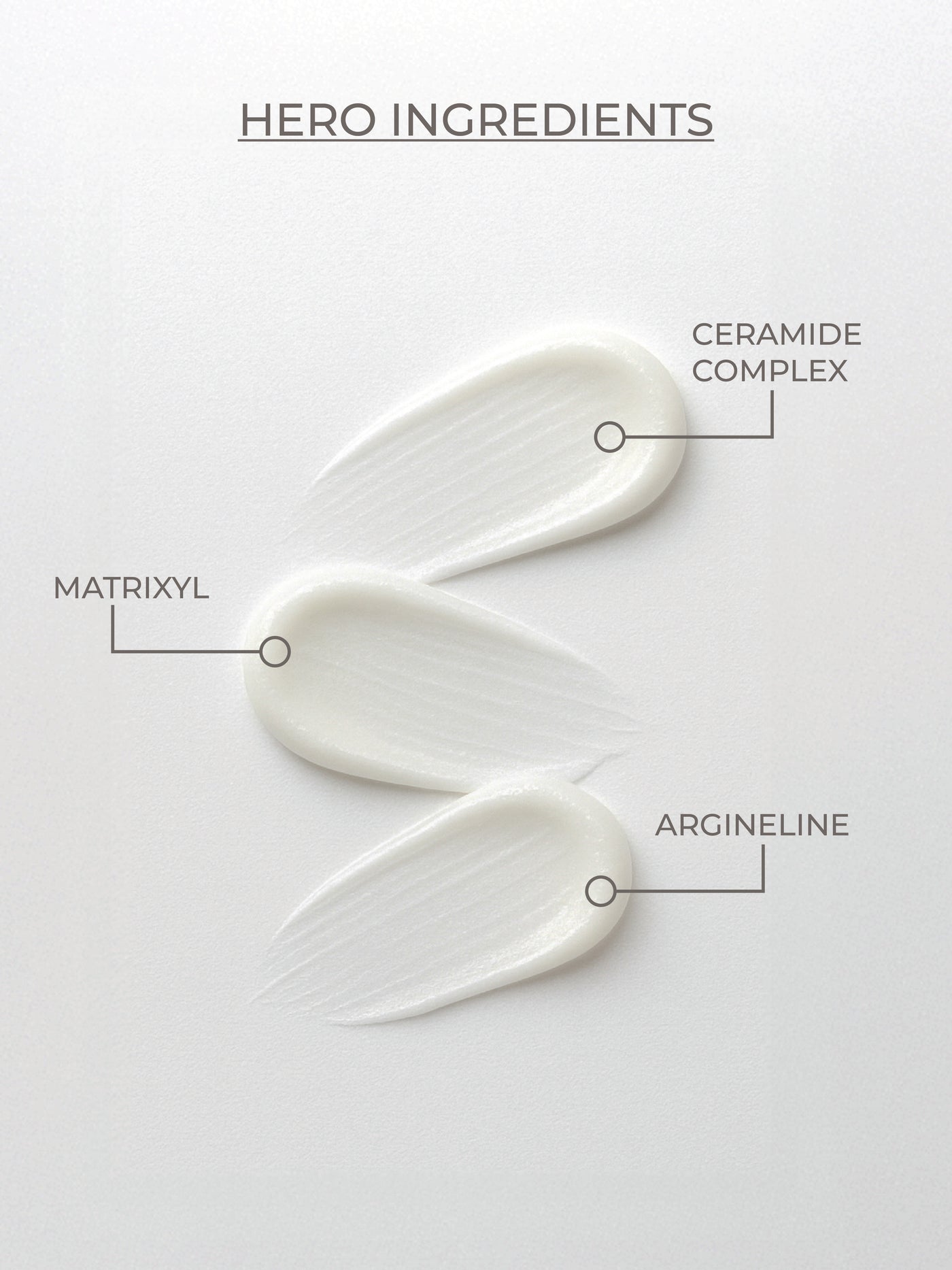 FIRST SIGNS Anti-Ageing Eye Cream - Large